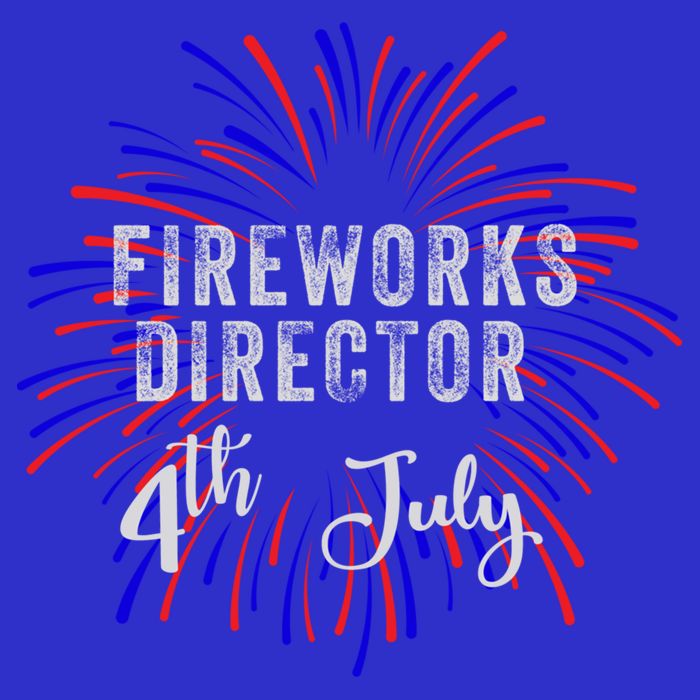 4th Of July Celebration Fireworks Director Gift 16 in Basic Backpack