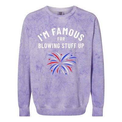 4th Of July Firework Humor Im Famous For Blowing Things Up Colorblast Crewneck Sweatshirt