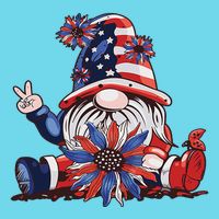 4th Of July Gnome Festive Holiday T-Shirt