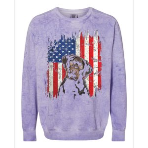 4th Of July Labrador American Flag Patriotic Chocolate Lab Colorblast Crewneck Sweatshirt