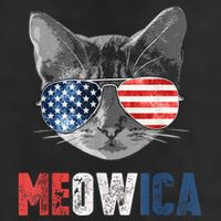 4th Of July Bald Eagle Mullet Meowica Usa Usa Merica 7 Panel Mesh Trucker Snapback Hat