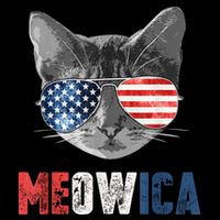 4th Of July Bald Eagle Mullet Meowica Usa Usa Merica Backpack