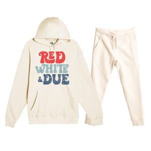 4th Of July Pregnancy Announcement Red White And Due Premium Hooded Sweatsuit Set