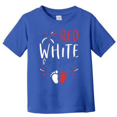 4th Of July Pregnancy Dress Cute Patriotic Reveal Great Gift Toddler T-Shirt