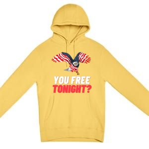 4th Of July You Free Tonight Funny Gift Premium Pullover Hoodie