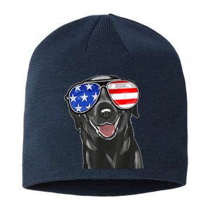 4th Of July Funny Black Lab Dog American Sustainable Beanie