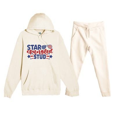 4th Of July Star Spangled Stud Matching 4th Of July Ideas Funny Gift Premium Hooded Sweatsuit Set