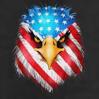 4th Of July Patriotic Eagle Usa American Flag 7 Panel Mesh Trucker Snapback Hat