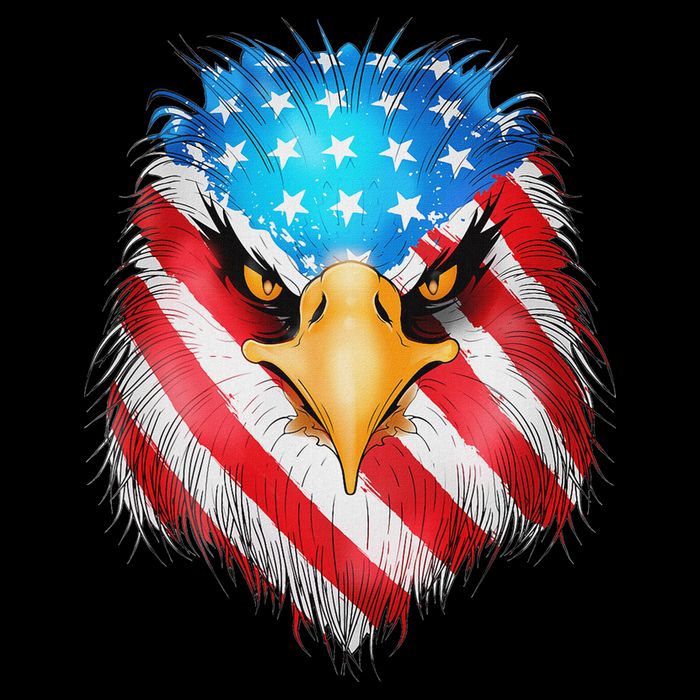 4th Of July Patriotic Eagle Usa American Flag Doggie Tank