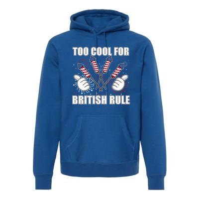 4th Of July Designs Firework Bbq Party In The Usa Meaningful Gift Premium Hoodie