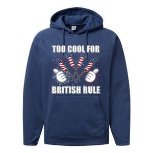 4th Of July Designs Firework Bbq Party In The Usa Meaningful Gift Performance Fleece Hoodie