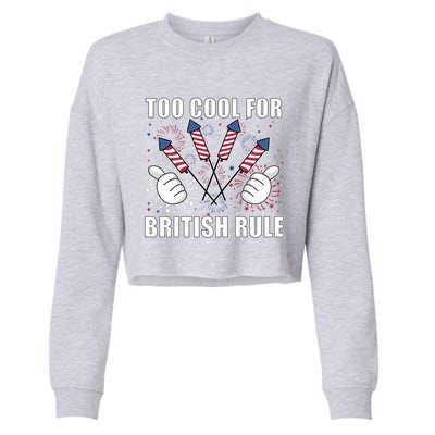 4th Of July Designs Firework Bbq Party In The Usa Meaningful Gift Cropped Pullover Crew