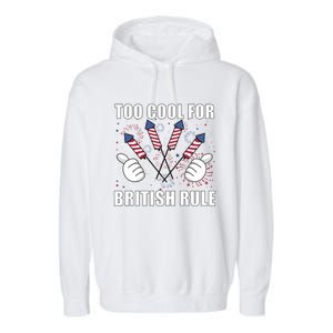 4th Of July Designs Firework Bbq Party In The Usa Meaningful Gift Garment-Dyed Fleece Hoodie