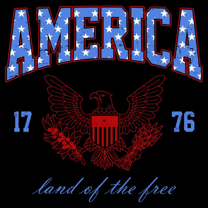 4th Of July Independence Day Land Of The Free City Backpack
