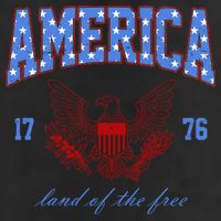 4th Of July Independence Day Land Of The Free 25L Jumbo Tote