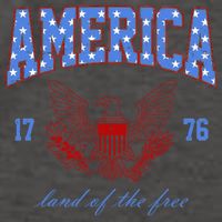 4th Of July Independence Day Land Of The Free Vector Backpack