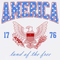 4th Of July Independence Day Land Of The Free Cool Comfort Performance Bucket Hat