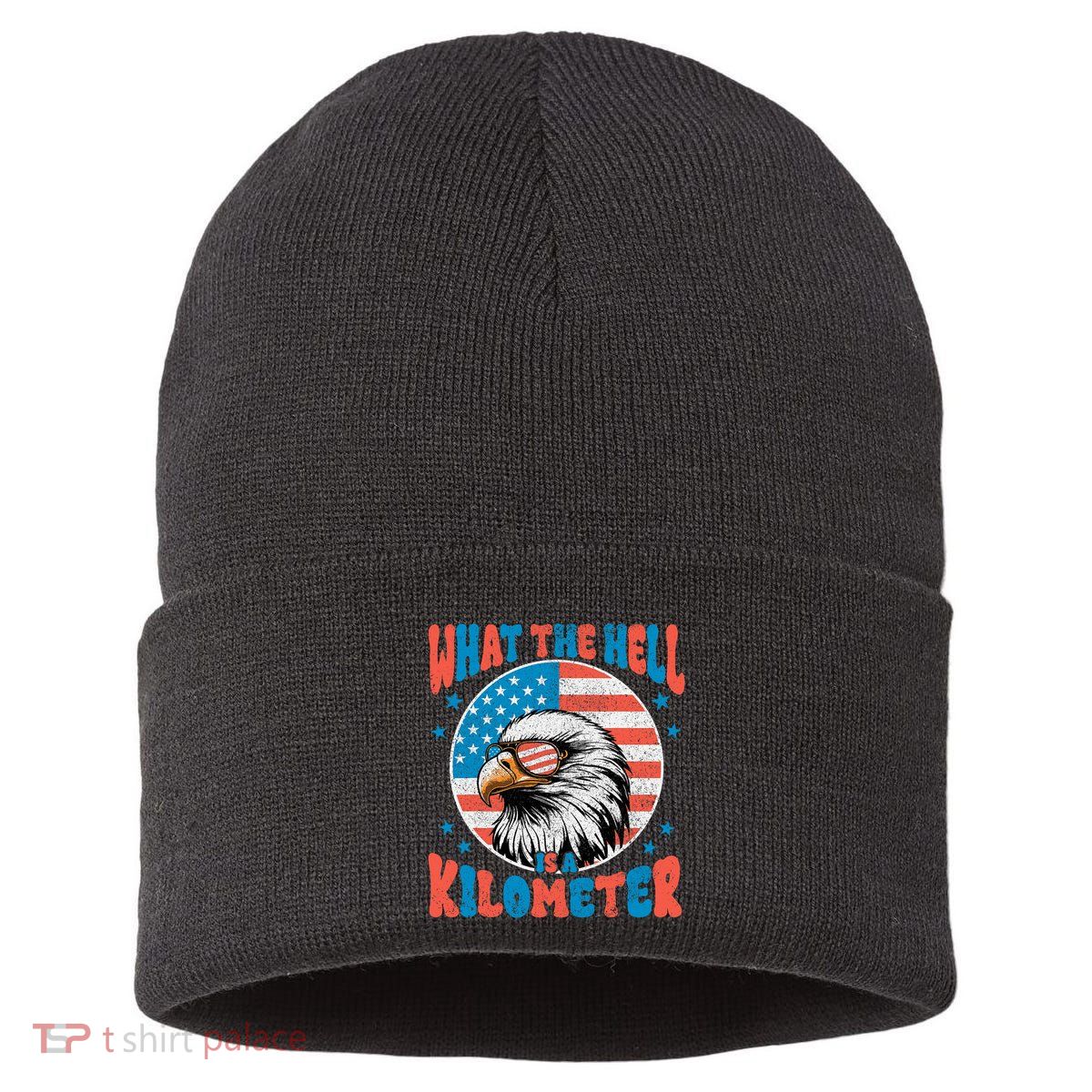 4th Of July What The Hell Is A Kilometer George Washington Sustainable Knit Beanie