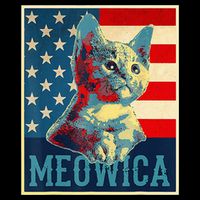 4th of July Meowica Kitty Cat Stripe Pom Pom Beanie