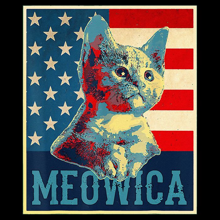 4th of July Meowica Kitty Cat Stripe Pom Pom Beanie