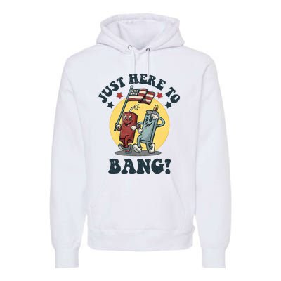 4th Of July Funny Adult Humor For Swinger American Couples Premium Hoodie