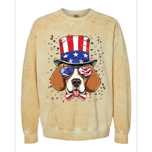 4th Of July Patriotic Beagle American USA Flag Beagle Lovers Colorblast Crewneck Sweatshirt