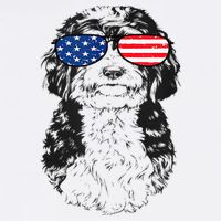 4th Of July Bernedoodle Doodle Dog Patriotic USA Sunglasses Tall T-Shirt