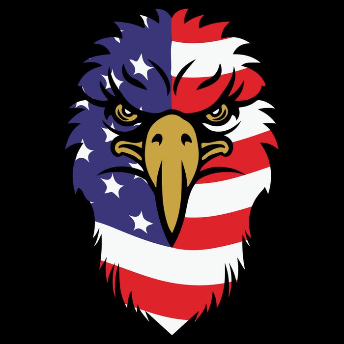 4th Of July Bald Eagle With American Flag Impact Tech Backpack