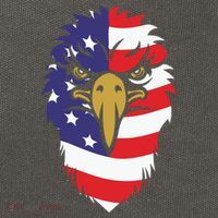 4th Of July Bald Eagle With American Flag Cotton Canvas Backpack