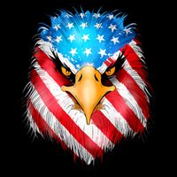 4th Of July Patriotic Eagle Usa American Flag Impact Tech Backpack