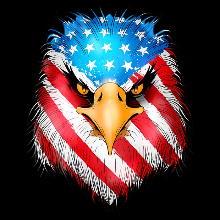 4th Of July Patriotic Eagle Usa American Flag Impact Tech Backpack