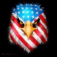 4th Of July Patriotic Eagle Usa American Flag 16 in Basic Backpack