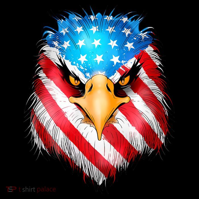 4th Of July Patriotic Eagle Usa American Flag 16 in Basic Backpack