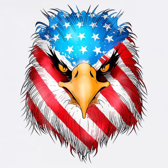 4th Of July Patriotic Eagle Usa American Flag Cooling Performance Crew T-Shirt