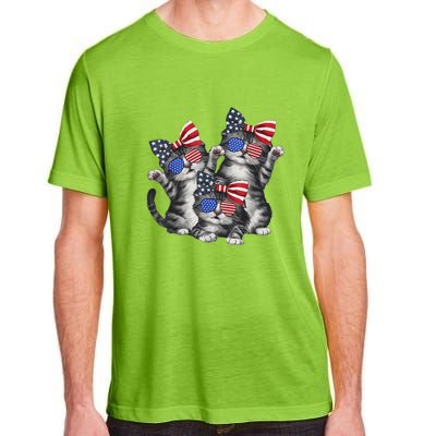 4th Of July Funny Kitten Cat Lover Pet Owner Cat Patriotic Gift Adult ChromaSoft Performance T-Shirt