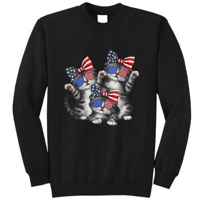 4th Of July Funny Kitten Cat Lover Pet Owner Cat Patriotic Gift Sweatshirt