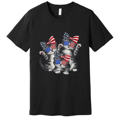 4th Of July Funny Kitten Cat Lover Pet Owner Cat Patriotic Gift Premium T-Shirt