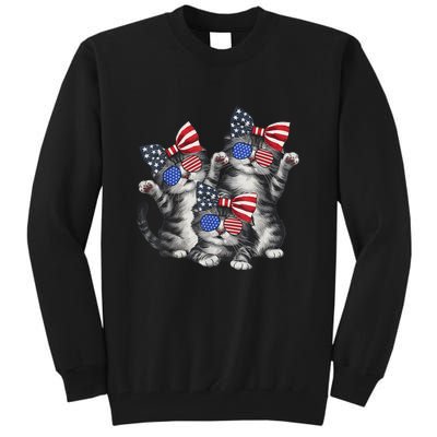 4th Of July Funny Kitten Cat Lover Pet Owner Cat Patriotic Gift Tall Sweatshirt