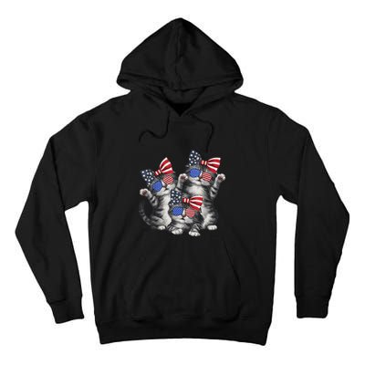 4th Of July Funny Kitten Cat Lover Pet Owner Cat Patriotic Gift Tall Hoodie