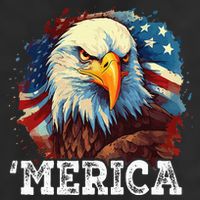4th Of July Merica Bald Eagle USA Patriotic American Flag 25L Jumbo Tote