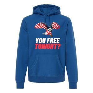 4th Of July You Free Tonight Funny Gift Premium Hoodie