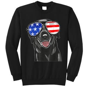 4th Of July Funny Black Lab Dog American Love Christmas Sweatshirt