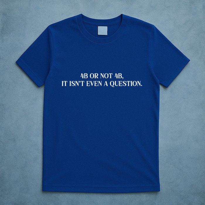 4b Or Not 4b Movement Radical Feminist T-Shirt