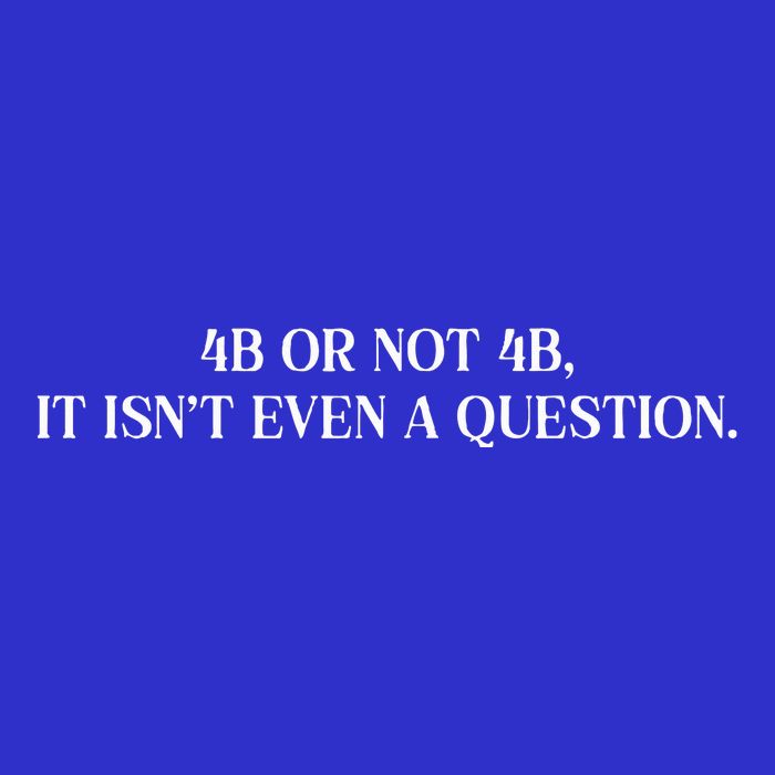 4b Or Not 4b Movement Radical Feminist T-Shirt