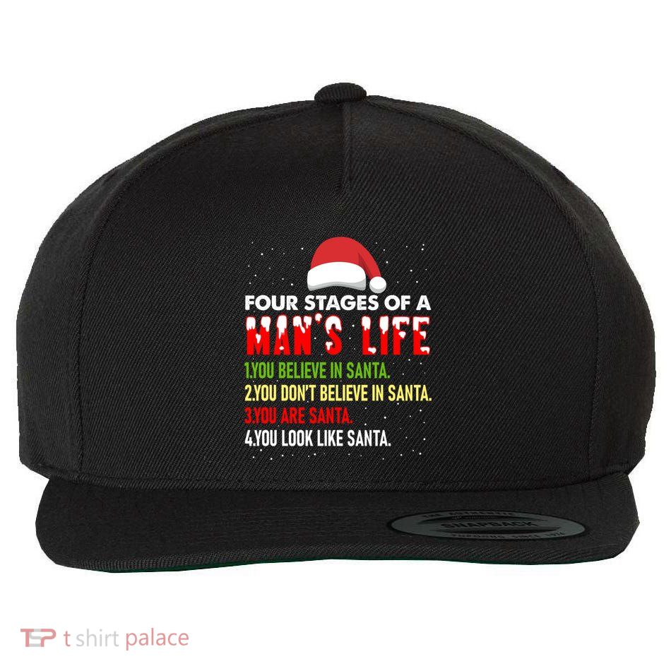 4 Stages Of Life Funny Santa Christmas Daddy Christmas Gift Wool Snapback Cap