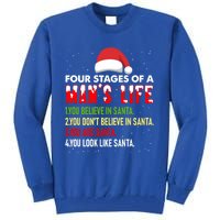 4 Stages Of Life Funny Santa Christmas Daddy Christmas Gift Tall Sweatshirt