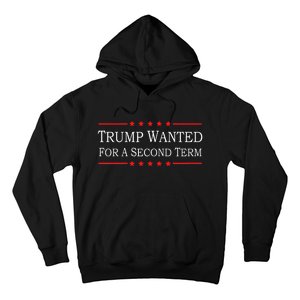 45 Squared Trump Wanted For Second Term 2024 Hoodie