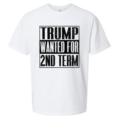 45 Squared Trump Wanted For Second Term 2024 Pro Trump Sueded Cloud Jersey T-Shirt