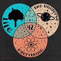 42 The Answer To Life Universe And Everything Astronomer Adult Drive Performance Visor
