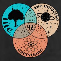 42 The Answer To Life Universe And Everything Astronomer Large Microfiber Waffle Golf Towel